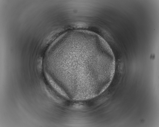 X0000113020550200909171456