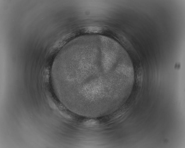 X0000113020551200909171456