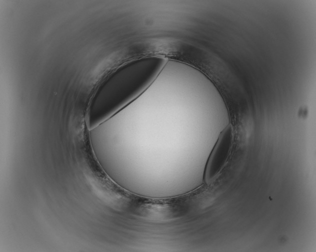 X0000113020552200909171456