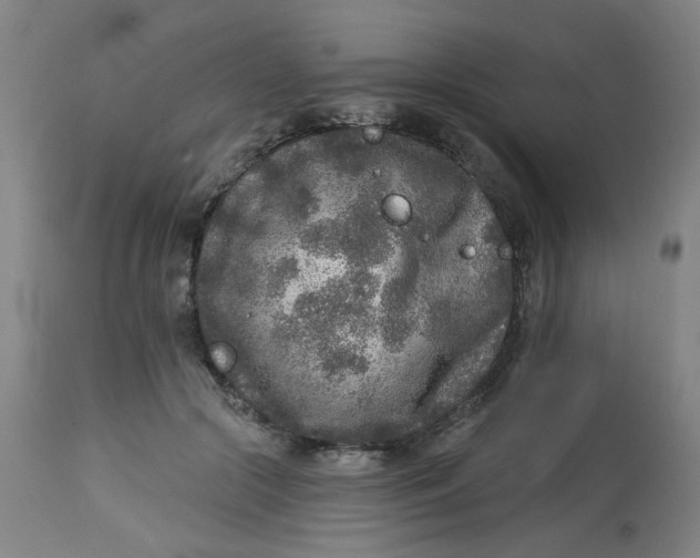 X0000113020553200909171456