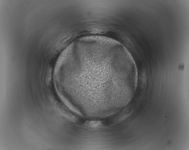 X0000113020554200909171456