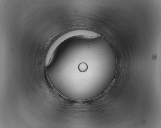 X0000113020556200909171456