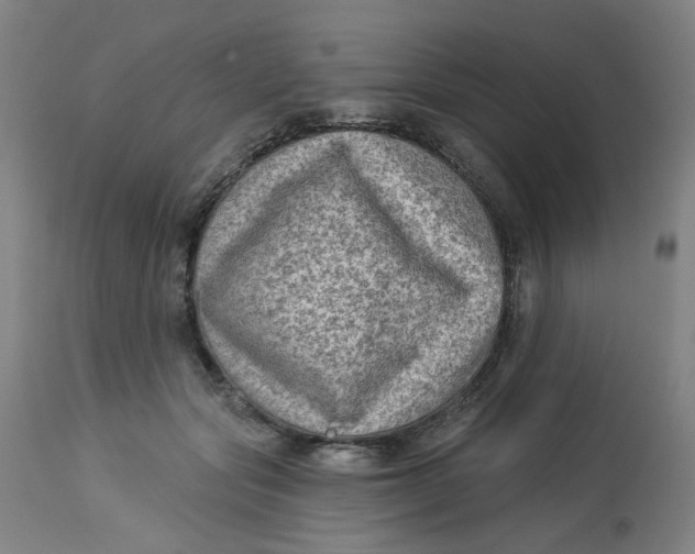 X0000113020557200909171456