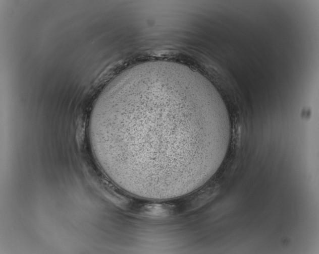 X0000113020558200909171456