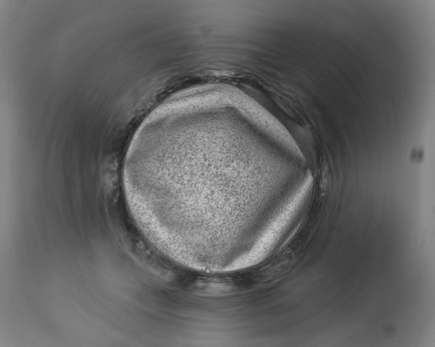 X0000113020559200909171456