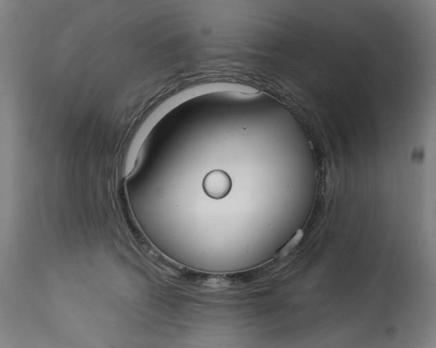 X0000113020562200909171457