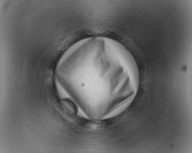 X0000113020563200909171457