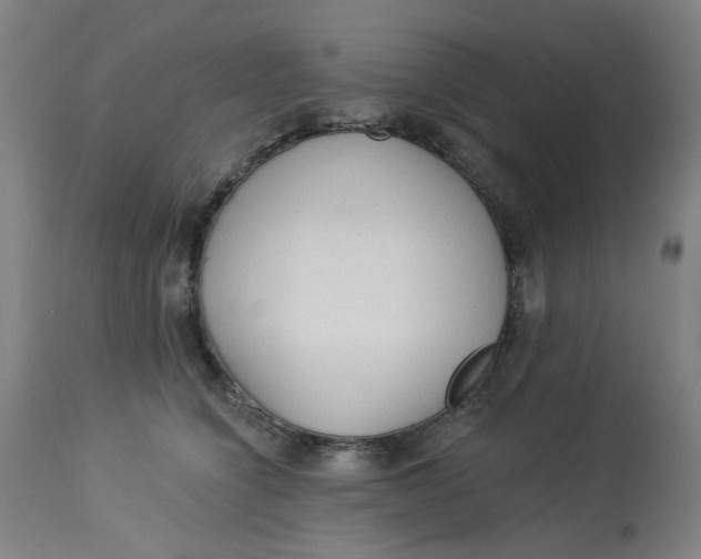 X0000113020564200909171457