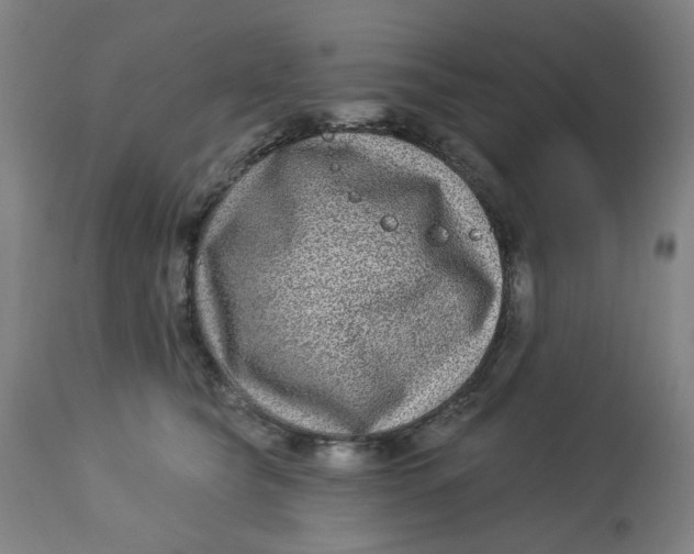 X0000113020565200909171457