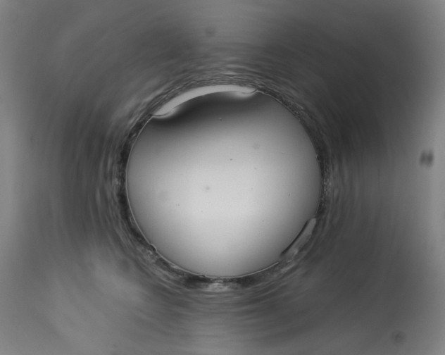 X0000113020566200909171457