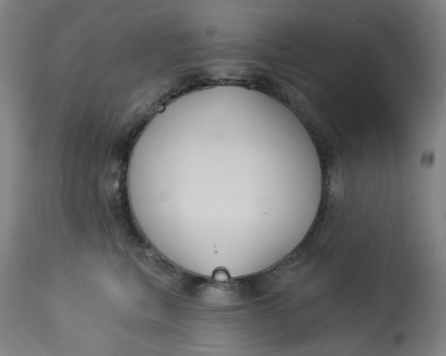 X0000113020567200909171457