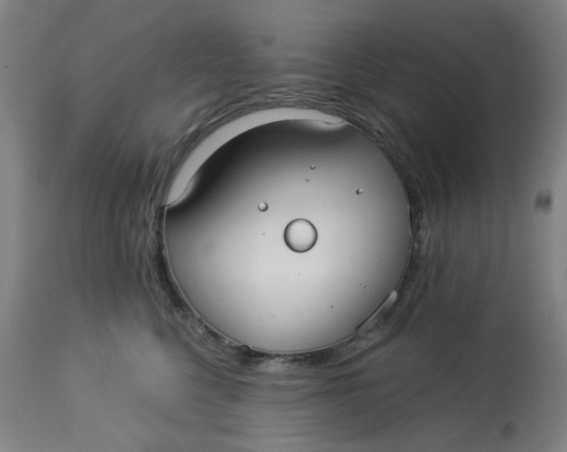 X0000113020568200909171457