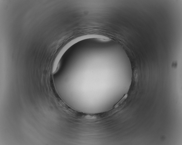 X0000113020570200909171457