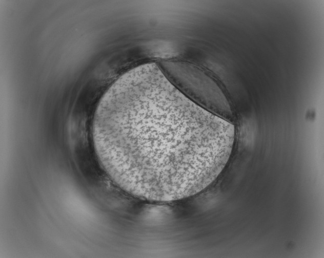 X0000113020572200909171457