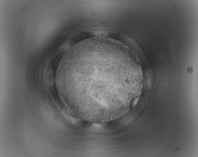 X0000113020573200909171457