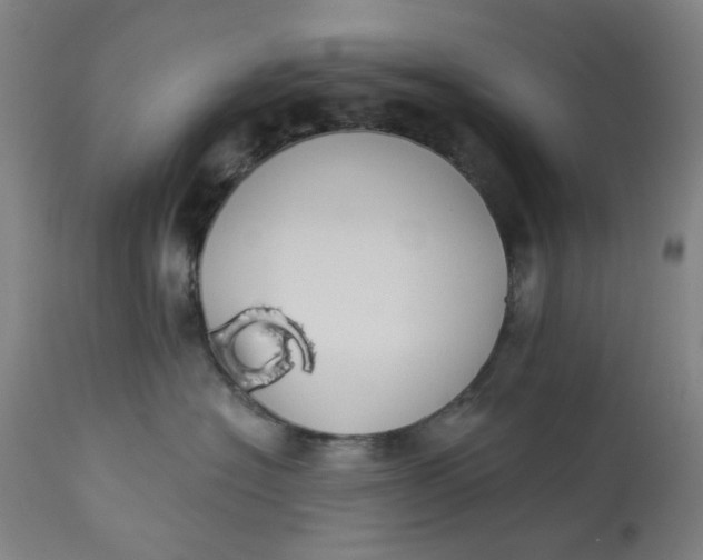 X0000113020574200909171457