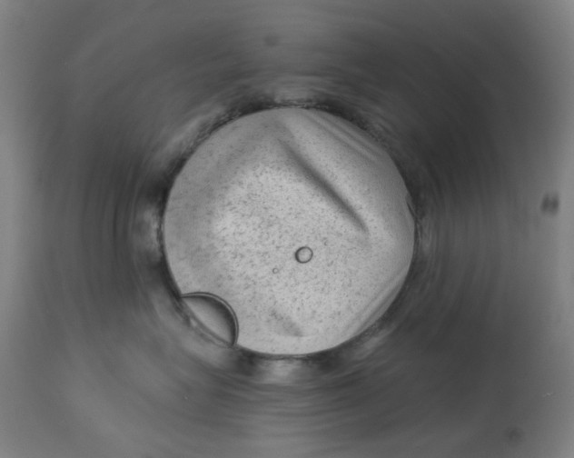 X0000113020575200909171457