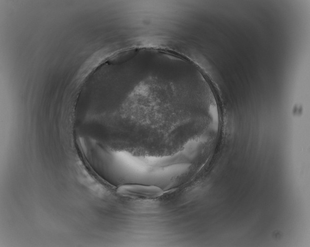 X0000113020577200909171456