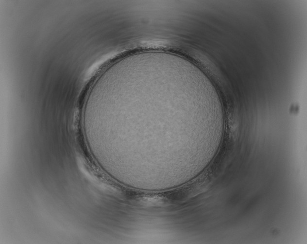 X0000113020583200909171456