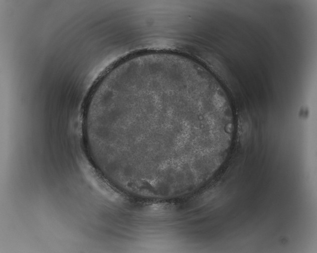 X0000113020584200909171456