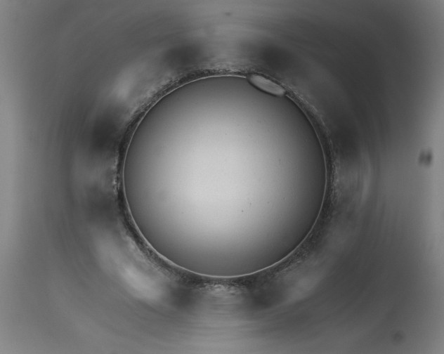 X0000113020585200909171456