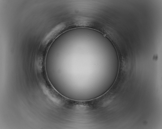 X0000113020586200909171456