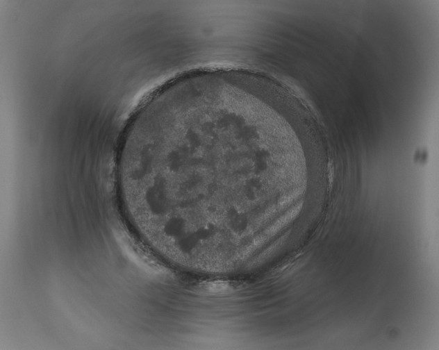 X0000113020588200909171456