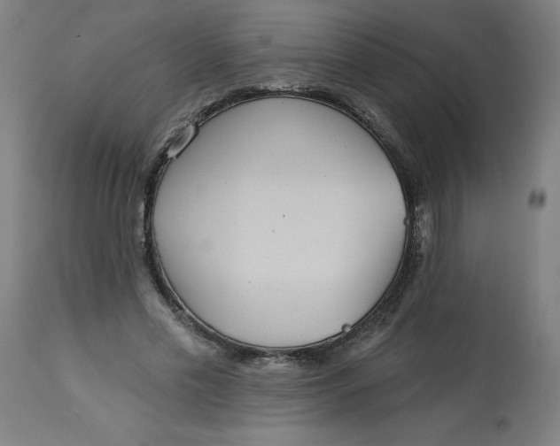 X0000113020589200909171456