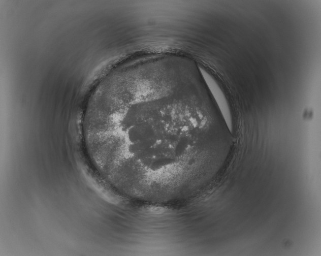 X0000113020590200909171456