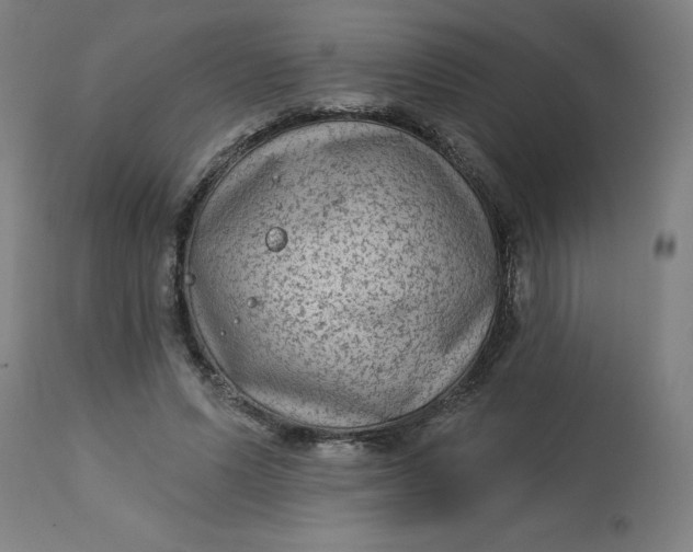 X0000113020591200909171456