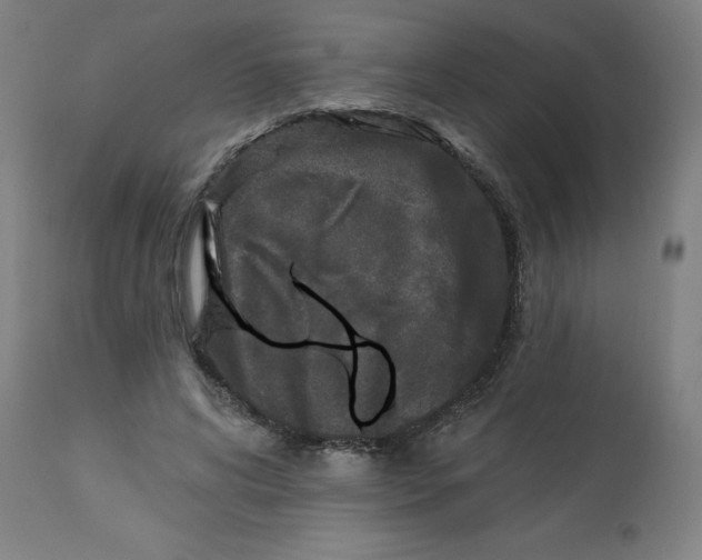 X0000113020592200909171456