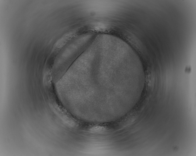 X0000113020593200909171456