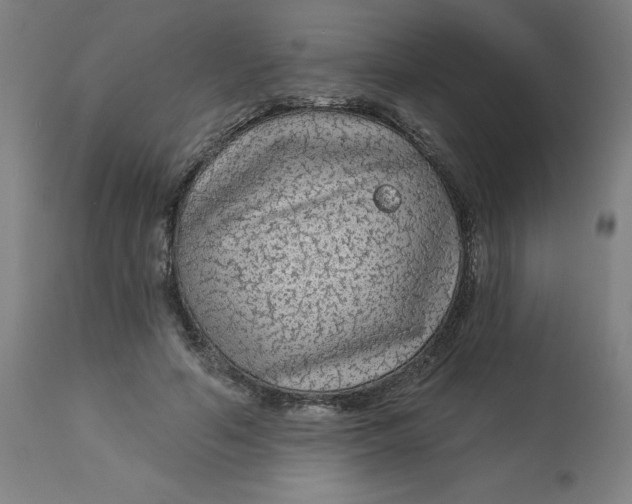 X0000113020594200909171456