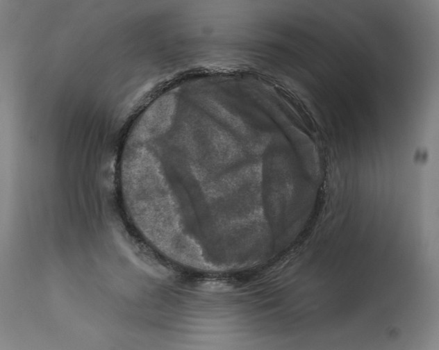 X0000113020596200909171456