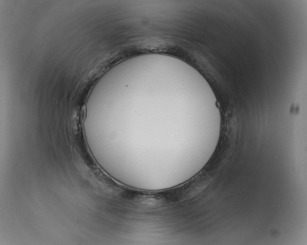 X0000113020597200909171456