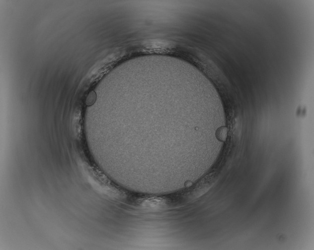 X0000113020599200909171456