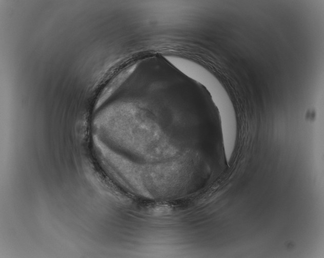 X0000113020600200909171456