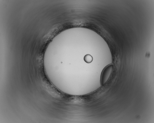 X0000113020601200909171456