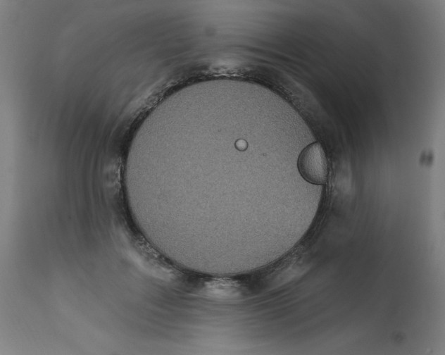 X0000113020603200909171456