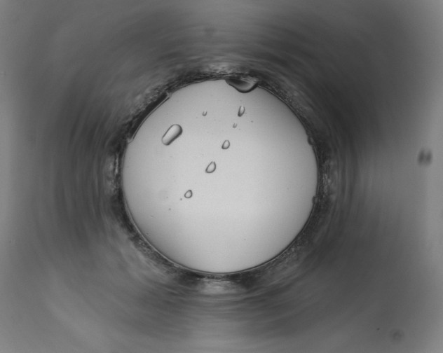 X0000113020605200909171455