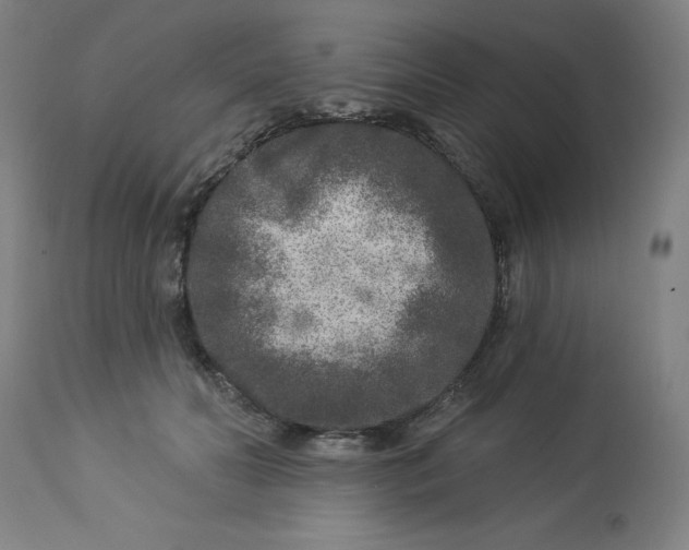 X0000113020606200909171455