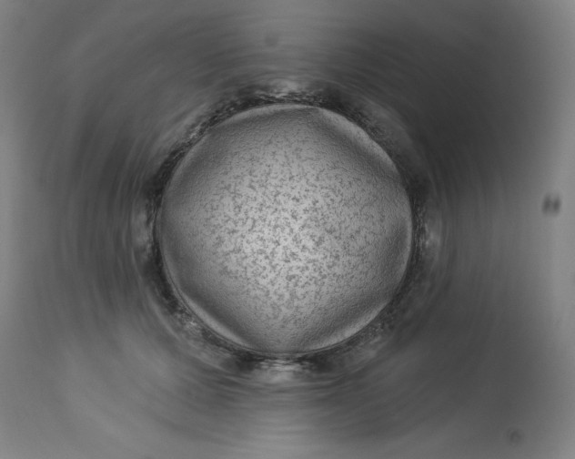 X0000113020607200909171455