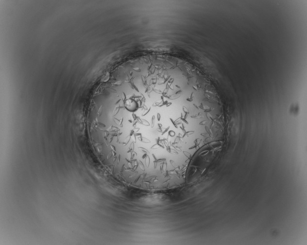 X0000113020609200909171455