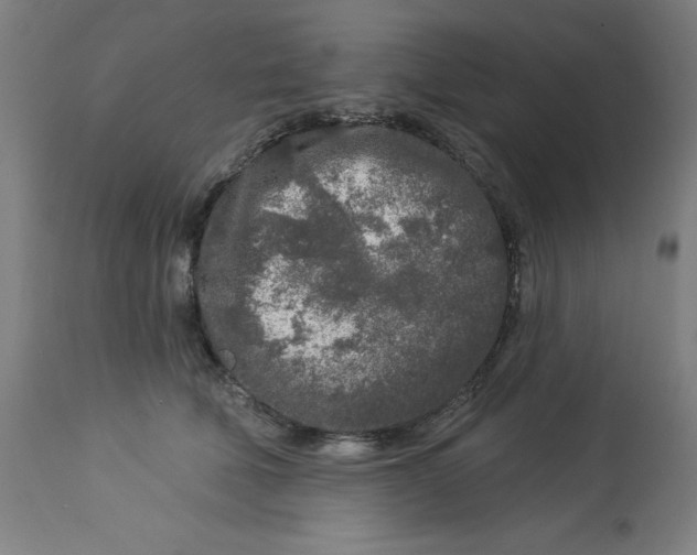 X0000113020610200909171455