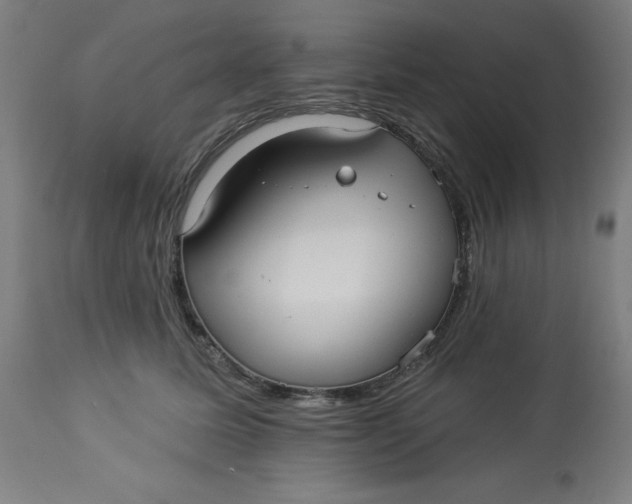 X0000113020611200909171455