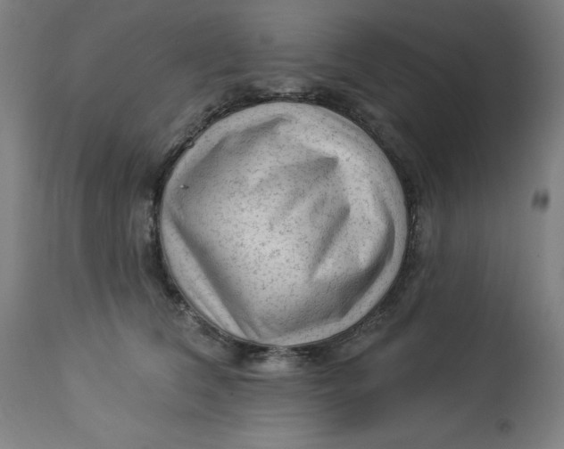 X0000113020612200909171455