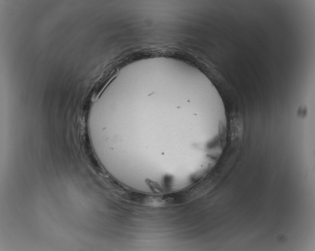 X0000113020613200909171455