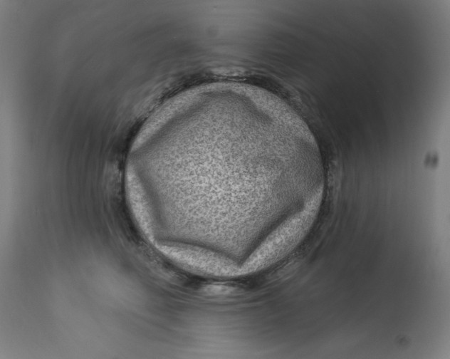 X0000113020614200909171455