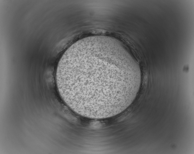 X0000113020616200909171455