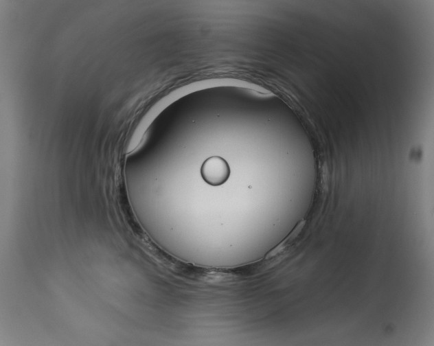 X0000113020617200909171455